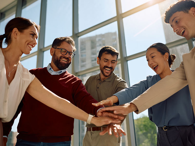 Ningbo Zhenhai Tiansai Leisure Products Co., Ltd.